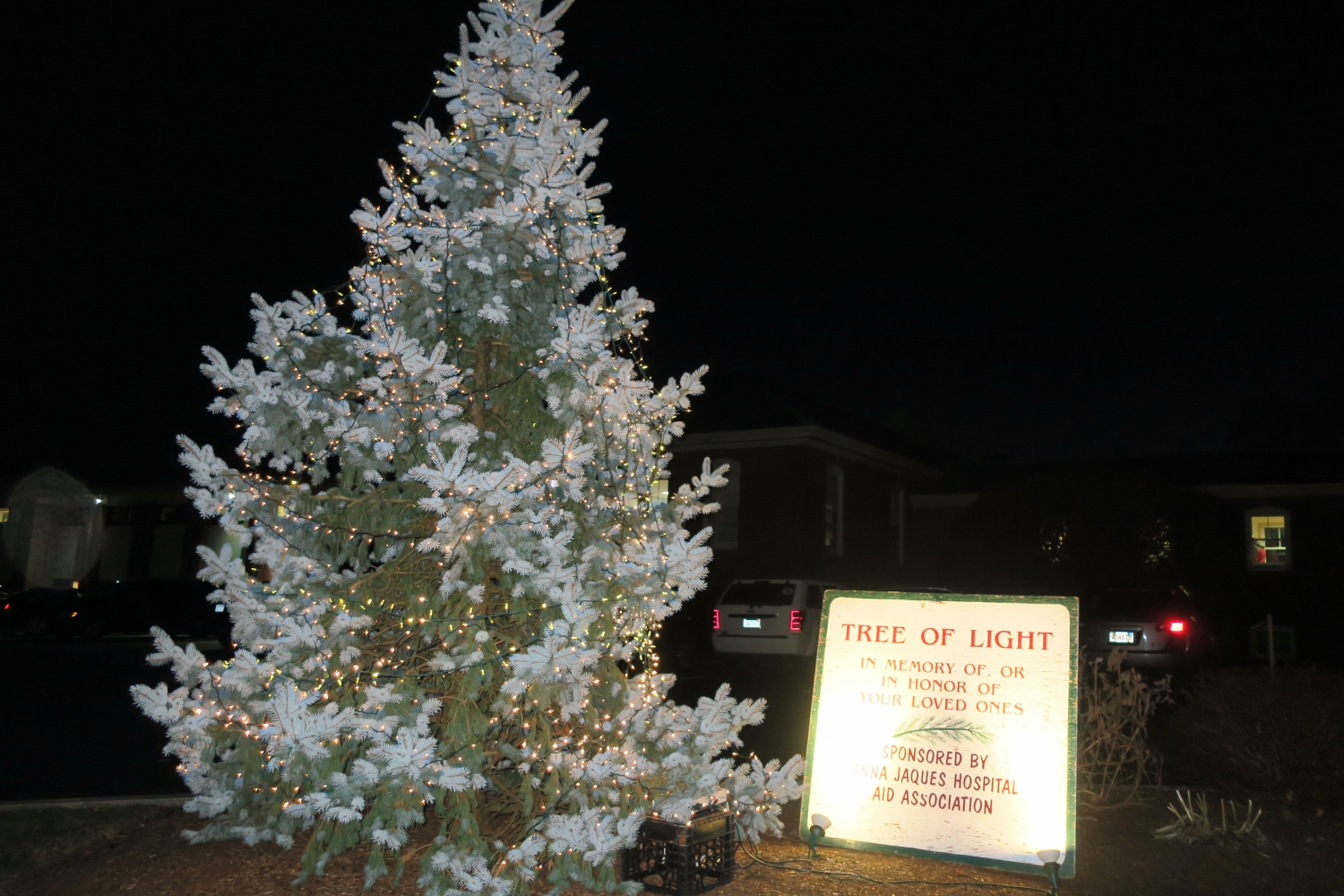 Annual_Tree_of_Light_Remembrance